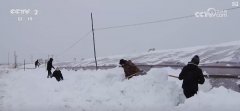 强降雪下暖防地：农技专家指点农户科学防寒保