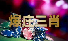 赌王心经智能版V8237-媒
