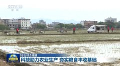 【正在但愿的郊野上】科