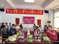 <b>陵水举办生菜新优品种展现取品鉴会</b>