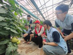 <b>肥东一中开展劳动实践勾当</b>