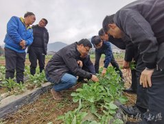 身边楷模 江山耕读十三春 阡陌深处有回响——记